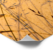 夏の草と影はがき ポスター (角)