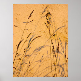 夏の草と影はがき ポスター