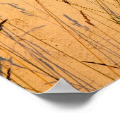 夏の草と影はがき ポスター (角)