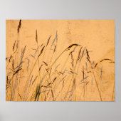 夏の草と影はがき ポスター (正面)