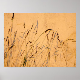 夏の草と影はがき ポスター