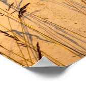 夏の草と影はがき ポスター (角)