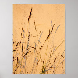 夏の草と影はがき ポスター