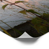 夏の草と影はがき ポスター (角)