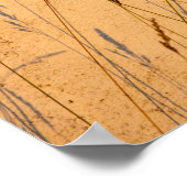 夏の草と影はがき ポスター (角)