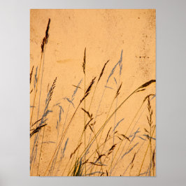 夏の草と影はがき ポスター