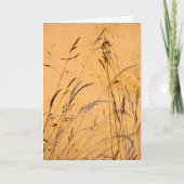 夏の草と影 カード (正面)