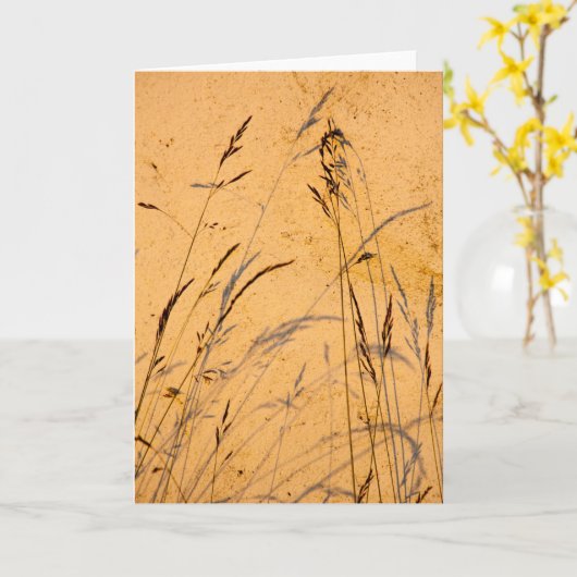 夏の草と影 カード (黄色い花)