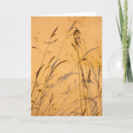 夏の草と影 カード