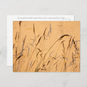 夏の草と影 ポストカード (正面/裏面)