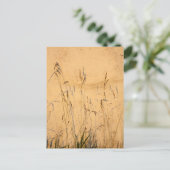 夏の草と影 ポストカード (スタンド正面)