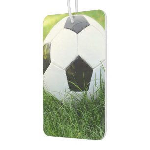 夏の草のサッカーボール カーエアーフレッシュナー