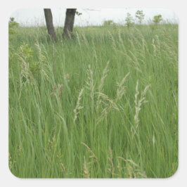 夏の草のステッカー(H.A.S. Arts) スクエアシール