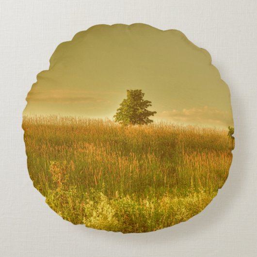 夏の草原 ラウンドクッション (正面)