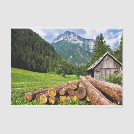 夏の草地にかわいいキャビン 薄葉紙 (正面)