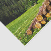 夏の草地にかわいいキャビン 薄葉紙 (詳細)