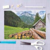 夏の草地にかわいいキャビン 薄葉紙 (クラフト)