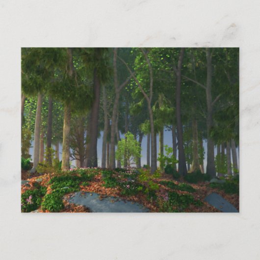 夏の葉葉書き ポストカード (正面)