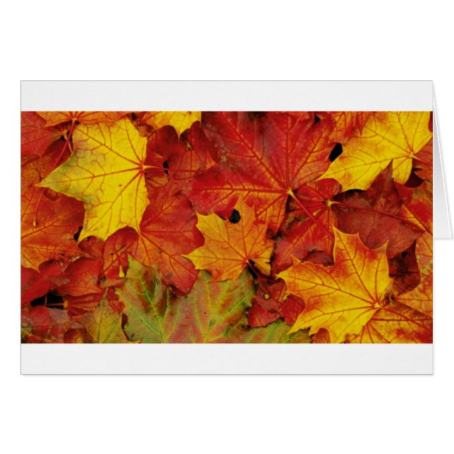 夏の葉 (正面横)