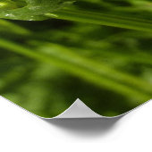 夏の薄紫とデイジー ポスター (角)