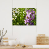 夏の薄紫とデイジー ポスター (キッチン)