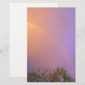 夏の虹 便箋 (正面/裏面)