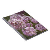 夏の蜂2014年 ノートブック (右側)