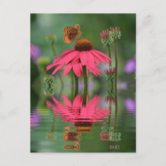 夏の蝶の反射 ポストカード (正面)