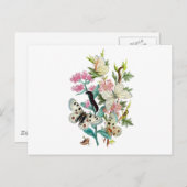 夏の蝶 ポストカード (正面/裏面)