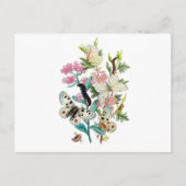 夏の蝶 ポストカード (正面)