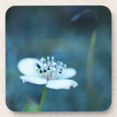 夏の記憶 コースター (正面)