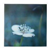 夏の記憶 タイル (正面)