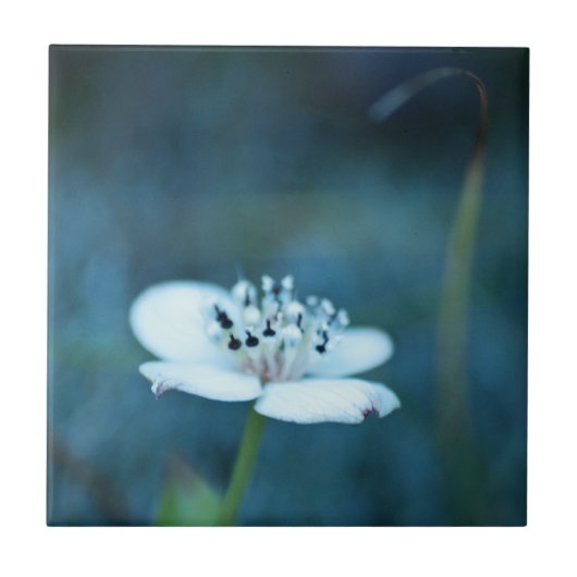 夏の記憶 タイル (正面)