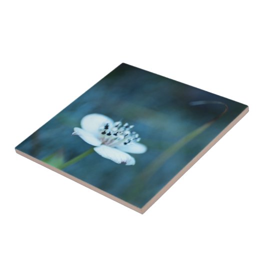 夏の記憶 タイル (側面)