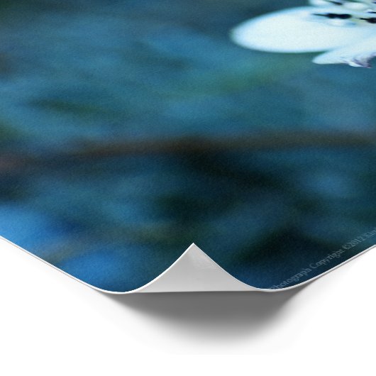 夏の記憶 ポスター (角)