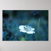 夏の記憶 ポスター (正面)