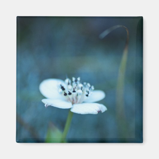 夏の記憶 マグネット (正面)