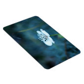 夏の記憶 マグネット (右側)