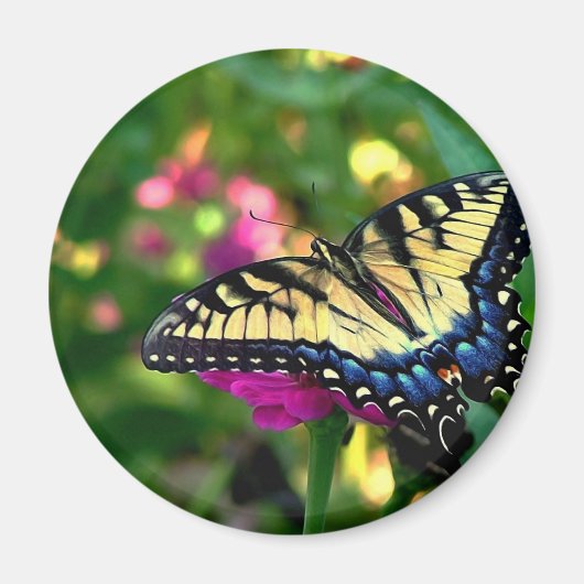 夏の訪問者 マグネット (正面)