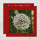 夏の誕生日パーティーへの招待 招待状 (正面/裏面)