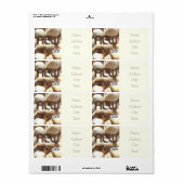 夏の貝殻レンガのアドレスの変おもしろい更 ラベル (フルシート)