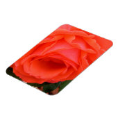 夏の赤いバラ – マグネット (左側)