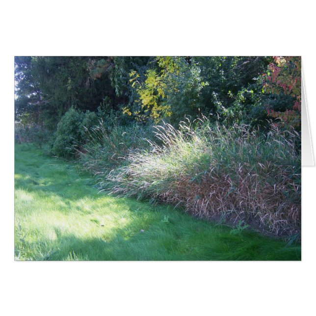 夏の軽いカード (正面横)