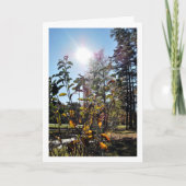 夏の農村風景 カード (正面)