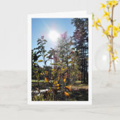 夏の農村風景 カード (黄色い花)