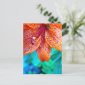 夏の遺跡 ポストカード (スタンド正面)