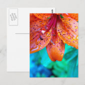 夏の遺跡 ポストカード (正面/裏面)