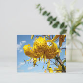 夏の郵便はがきの黄色いオニユリによっては青が開花します ポストカード (スタンド正面)