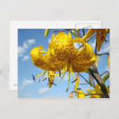 夏の郵便はがきの黄色いオニユリによっては青が開花します ポストカード (正面/裏面)