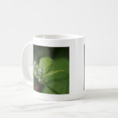 夏の野生のラズベリーの花のつぼみ コーヒーマグカップ (正面左)